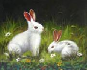 unknow artist Rabbit China oil painting reproduction
